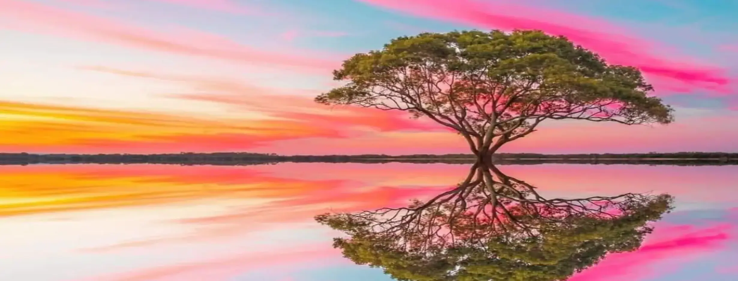 Image for Natures Hideaways